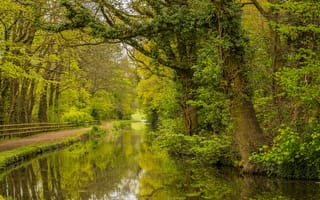 Картинка Канал Стурбридж и Бирмингем, лес, Вустершир, пейзаж, Стортон - Сторбридж, Англия, природа, деревья