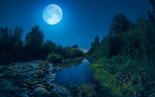 Картинка ночь, луна, камни, деревья, пейзаж, речка
