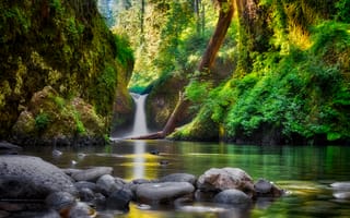 Картинка Punchbowl Falls, камни, Oregon, деревья, речка, водопад, Columbia River Gorge National Scenic Area, United States, лес, пейзаж