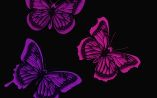 Картинка бабочки, художественное произведение, вектор, дизайн
