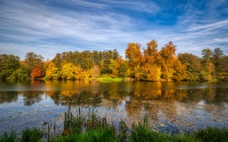 Картинка Kuzminki, осенние краски, небо, пруд, парк, Россия, пейзаж, озеро, осень, деревья