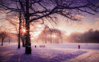 Картинка рассвет, лавочка, деревья, пейзаж, зима, снег, парк, туман