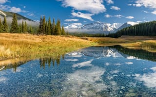 Обои Канада, деревья, водоём, горы, природа, Альберта, озеро, Banff National Park, пейзаж