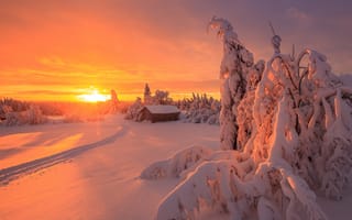 Картинка следы, снег, закат, сугробы, изба, зима, дом, Finland, деревья, пейзаж