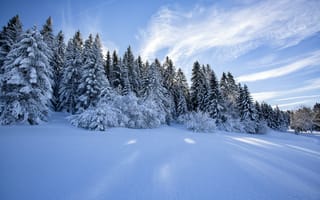 Картинка зима, лес, природа, Финляндия, снег, пейзаж, деревья, Lapland