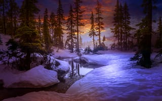 Картинка закат, природа, ручей, деревья, небо, пейзаж, снег, река, лес