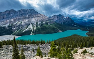 Картинка горы, Canada, камни, пейзаж, деревья, Lake Peyto, Peyto Lake, Banff National Park, лес, озеро, Alberta
