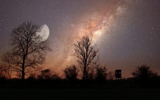Картинка ночь, небо, млечный путь, деревья, луна, звёзды