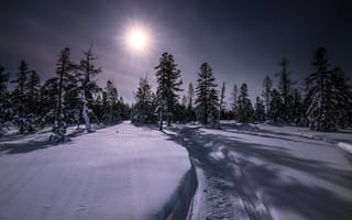 Картинка Луна, пейзаж, ночь, зима, природа, снег, деревья