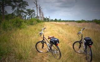 Картинка природа, велопрогулка, велосипеды, тропа, поле, трава, средство передвижения