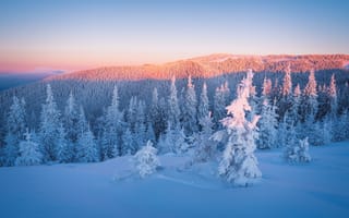 Картинка зима, горы, снег, пейзаж, сугробы, деревья, закат