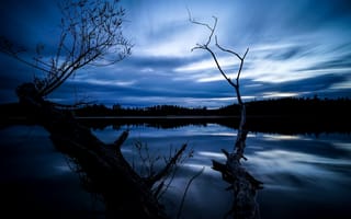 Картинка озеро, пейзажи, ночь, темно, деревья, отражение