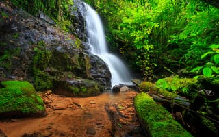 Картинка лес, водопад, природа, скалы, Brazil, пейзаж
