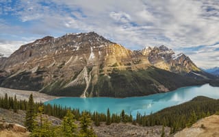 Картинка панорама, Banff National Park, горы, Peyto Lake, Alberta, деревья, лес, пейзаж, Canada