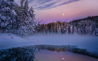 Картинка озеро, лес, зима, ночь, Луна, пейзаж, деревья