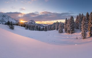 Обои Швегальп, природа, пейзаж, зима, деревья, панорама, Швейцария, закат, горы, снег
