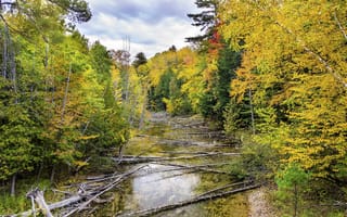 Картинка осень, пейзаж, деревья, лес, река