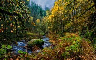 Картинка осень, пейзаж, тропинка, природа, осенние краски, лес, речка, деревья