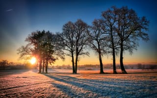 Картинка восход солнца, живописные, пейзаж, небо, тень, зимой, луг, холодный, деревья, вечером, ледяной, природы, пешие прогулки, зимний, солнечный луч, снег, иней