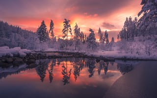 Картинка Восход, зима в Телемарке, пейзаж, Норвегия, деревья, закат, природа