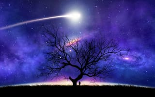 Картинка ночь, комета, мерцание, поле, сияние, дерево, космос, art, свечение