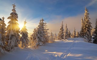 Картинка зима, пейзаж, закат, деревья, снег, сугробы