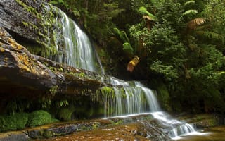 Картинка водопад, расслабляющий, растения, мох, скалы, поток
