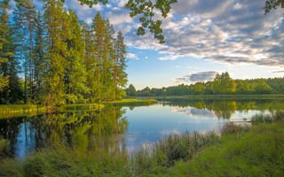 Обои Швеция, деревья, природа, лес, пейзаж, река, небо