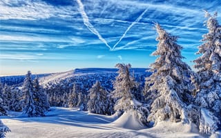 Обои Jeseniky Mountains, Czech Republic, деревья, ели, зима, пейзаж, снег, горы