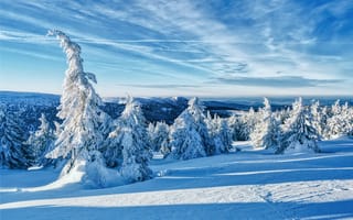 Обои Jeseniky Mountains, снег, пейзаж, деревья, Czech Republic, зима, горы