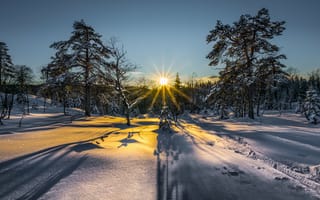 Обои закат, Норвегия, солнечные лучи, природа, пейзаж, деревья, снег