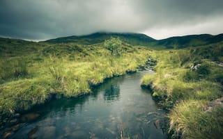 Картинка Шотландское нагорье, холм, дерево, ручей, пейзаж, трава, на свежем воздухе, речка