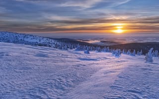 Обои Jeseniky Mountains, горы, закат, снег, деревья, зима, Czech Republic, пейзаж