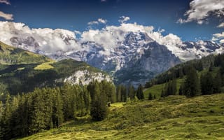 Картинка Швейцария, лес, пейзаж, деревья, горы, небо