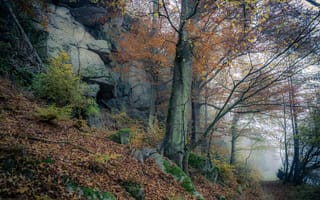 Картинка осень, дорога, деревья, природа, скалы, туман