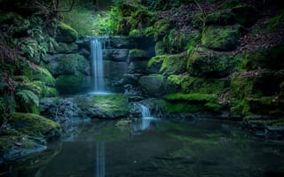 Картинка Mossgreen Fairy Dell, пейзаж, мох, водопад, Scotland, камни