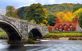 Картинка Лланрвст, North Wales, Conwy, River Conwy, река, Snowdonia, Конви, Llanrwst, Северный Уэльс, Чайный дом, деревья, мост