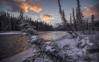 Картинка Bow River, Национальный парк Банф, Канада