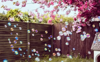 Картинка пузыри, розовые цветы, разное, природа, картинки на телефон, цветы