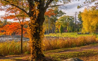Картинка Броктон, пейзаж, водоём, парк, Массачусетс, Плимут, деревья, осень, США