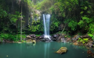 Картинка тропический лес, водопад, панорама, пейзаж, камни, природа