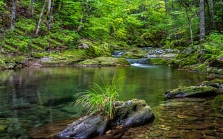 Картинка Enchanted Woods, Waterford, речка, камни, пейзаж, деревья, природа, лес, Canada