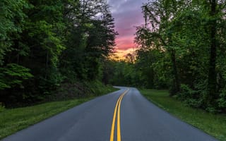 Картинка Грейт Смоки Национальный парк, дорога, лес