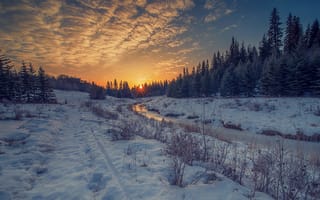 Картинка Эдмонтон, зима, альберта, лес, закат, пейзаж, река