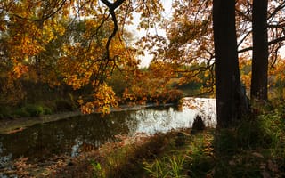 Картинка осень, деревья, природа, озеро, пейзаж, краски осени