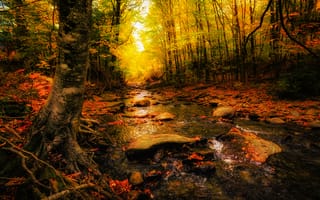 Картинка осень, деревья, камни, река, лес, пейзаж, осенние краски, природа