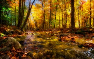 Картинка осень, лес, деревья, река, пейзаж, осенние краски, природа