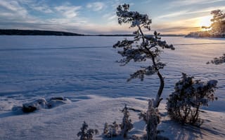 Картинка пейзаж, озеро, снег, дерево, зима, закат, лед