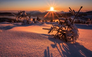Картинка зима, солнце, закат, снег, облака, пейзаж, деревья