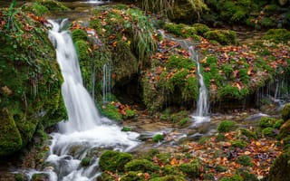 Картинка природа, скалы, осень, камни, водопад, листья